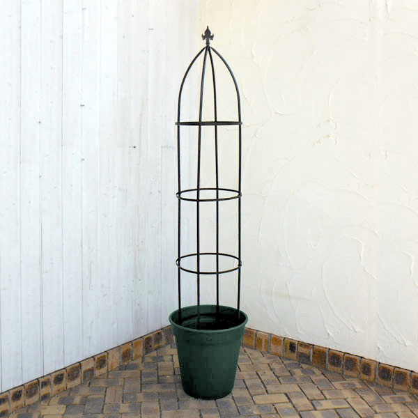 鉢とオベリスクのセット： オベリスク191cmとロゼアポット直径45cm