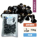 【送料無料】宍道湖産 冷凍しじみ(砂抜き済み)『冷凍』大和しじみ(シジミ)L(大粒)7.5kg※段ボール箱・冷凍発送500g×15袋=7.5kg※代引料は別途必...