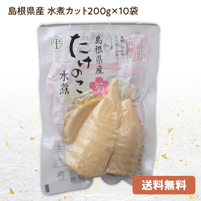 楽天市場】白子 筍 水煮の通販 楽天市場】白子 筍 水煮の通販