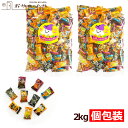 ハロウィン お菓子 本州送料無料 ハロウィン キャンディ 2kg(個包装 約460個) 3種の味 オレンジ サイダー パイナップル 飴 あめ キャンデー 1kg×2