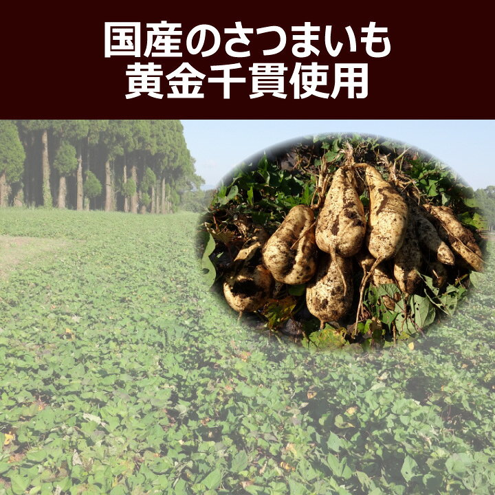本州送料無料 芋けんぴ 芋チップ 詰め合わせ 計800g （各200g×2袋ずつ （計4袋）） 缶入り いもけんぴ いもかりんとう けんぴ ちっぷ ギフト 御礼 お返し プレゼント engrave-10001052 おやつのへや 楽天市場店 サンプル画像2