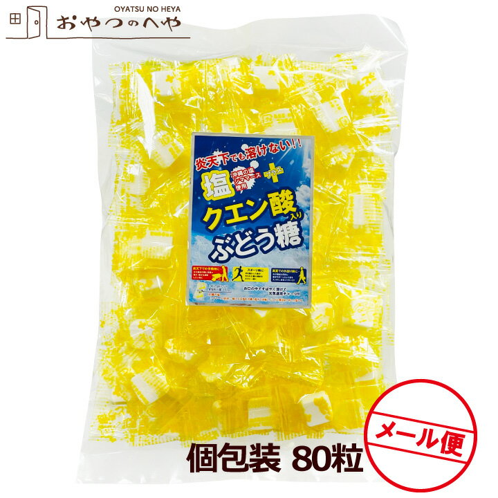 塩クエン酸入りぶどう糖 80粒 メール便（代引き不可） 糖分補給 塩分補給 タブレット