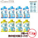 飲む氷 アイススラリー 2種セット 国産梅&塩レモン 100g×各4個 計8個 熱中症対策カード付き Ume&SaltyLemon メール便(代引き不可)