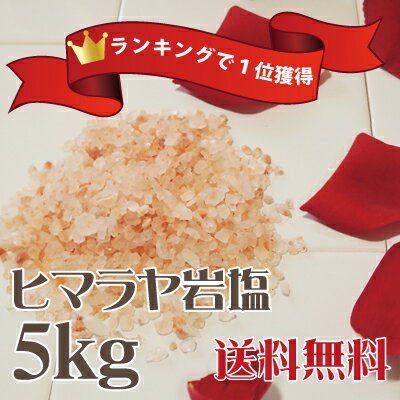 【スプーン＋ポーチ プレゼント付き】【浴】小粒：ヒマラヤ岩塩ピンクバスソルト5kg(1kg×5) 粗塩タイプピンク岩塩 半身浴 温泉 福袋 入浴料 風呂 ルビーソルト ローズソルト パワーストーン 天然岩塩100% 入浴剤 無臭 ギフトセット【公式】【送料無料】