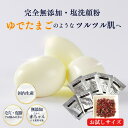 酵素洗顔 税抜1000円ポッキリ【メール便でお届け】お試し18回分 シーランマグマ 塩洗顔粉トライアルセット洗顔パウダー 洗顔フォーム 無添加コスメ 石けん 肌...