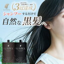 白髪染め シャンプー YUSEEK クリームシャンプー 白髪 ナチュラルブラック ダークブラウン（YUSEEK cream shampoo 350g ヘアカラー 髪 ヘアケア トリートメント）