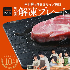 ＼専門家監修／解凍プレート 正規品 解凍板 解凍ツール アルミ 冷凍食品 肉 魚 野菜 自然解凍 省エネ 電気不要 祖熱取り 母の日 クリスマスプレゼント お祝いギフト