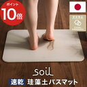 ソイルバスマット 珪藻土 バスマット soil 日本製 安心 安全 アスベスト未使用 ライト ノンアスベスト 人気 おすすめ 珪藻土バスマット ソイル ギフト おしゃれ 軽量 衛生的 軽い 丈夫 速乾 足ふきマット 正規品【ポイント10倍 送料無料】