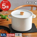 琺瑯 パスタパン 5.7L kaico パスタパン ih対応 中網付き カイコ 小泉誠 ih kaiko 琺瑯 ホーロー 深型鍋 蓋付き 両手鍋 琺瑯鍋 調理器...