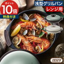【特典付き】 魚焼き器 電子レンジ用 レンジグリルパン 電子レンジ調理器 レンジ調理 レンジ 魚焼き器 焼き魚 プレート トフィー 電子レンジ調理 温めるだけ ...