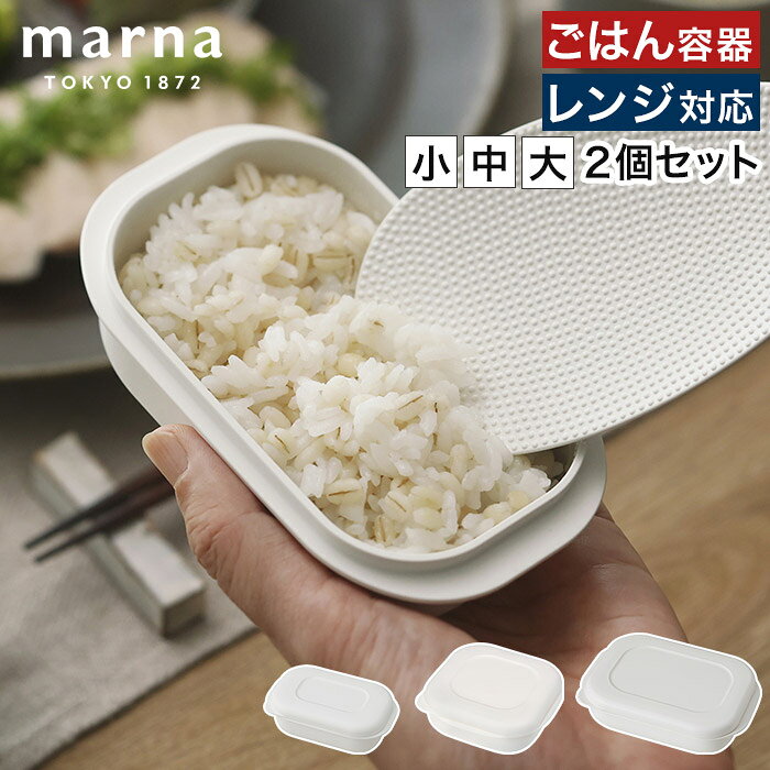 ごはん 保存容器 【365日出荷】 電子