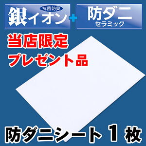 Q-PON フラットバルブ布団圧縮袋マチ付 & 防ダニシート付き | 収納 布団圧縮袋 隙...