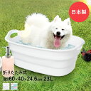 ソフト タブ ワイド | ペット ペットバス ソフトタブ 犬 猫 お風呂 犬用 おしゃれ コンパクト 折りたたみ 収納 たらい 洗濯桶 アウトドア 桶 折り畳み...