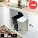 スライドペール 30L ゴミ箱 2個セット ごみ箱 ダストボックス ゴミ入れ キャスター付き キッチンごみ箱 キッチン 30リットル 蓋つきゴミ箱 ふた付き 分別 トラッシュカン ごみばこ 生ごみ 生ゴミ スライド 模様替え 引っ越し 台所 新生活 一人暮らし カウンター まとめ買い