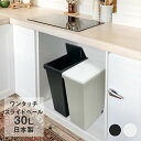 【エントリーポイント5倍7/19(土)20:00~7/26(土)01:59まで 】 スライドペール 30L ゴミ箱 | ごみ箱 ダストボックス キッチン スリム プラスチック 30l ペール 縦型 分別ゴミ箱 蓋付き ふた付き キャスター付き おしゃれ カウンター下 30リットル 蓋つき シンク下