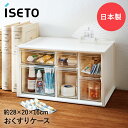 おくすりケース 救急箱 大容量 日本製 伊勢藤 | 薬ケース 薬箱 白 ケース 引き出し 棚 収納箱 整理ケース 収納ケース 薬入れ 収納ボックス 薬 薬ボック...