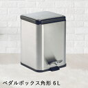 【 法人限定 】 ステンレス製 ペダルボックス 角型 6L DS-238-606-0 TERAMOTO テラモト | ゴミ箱 ふた付き ごみ ゴミ ペール ごみ箱 ごみばこ 蓋付き フタ付き ダストボックス ペダル トラッシュボックス くず(3)