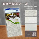 【5と0のつく日限定クーポン&全品ポイント2倍!9/15】補修用壁紙シール 壁紙の上から貼れる壁紙 約8×14cm 1枚入 汚れ キズかくし 補修 壁紙 シールタイプ 貼るだけ 簡単