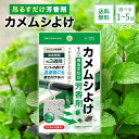 【楽天スーパーSALE★限定クーポン&全品ポイント2倍!9/4 20:00~】カメムシよけ芳香剤 カメムシ対策 天然ハッカ 忌避剤 ミントの香り かめむし 子どもにも安心 吊るすだけ