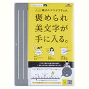 レイメイ藤井 下敷き 大人の魔法のザラザラ下じき B6サイズ グレー U1258N(3)