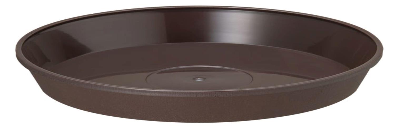 Х饨ƥåʿ¤㤨¥ץ饹å ȭץ󥿡 ե쥰顼ץ졼 36 300H50 ֥饦פβǤʤ454ߤˤʤޤ