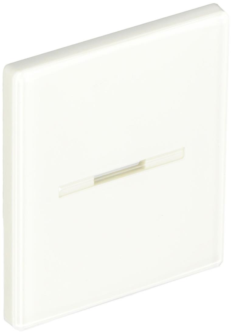 東芝ライテック(Toshiba Lightech) 表示付スイッチカバーM WDG1621M(WW)