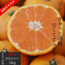 【ブラックフライデー!!大幅割引】有田みかん 減農薬【5070円→2680円】和歌山県産 3kg 箱買い 訳あり ご家庭用 早生 極早生 濃厚な甘さ 旨さをお届...