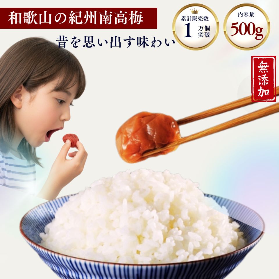 【ブラックフライデー!!大幅割引】訳あり 紀州南高梅 和歌山県産 【無添加・無着色】塩分約20% 昔なが..