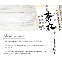 命名書,命名,命名紙,命名用紙,命名書代筆