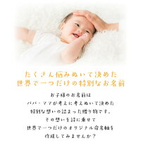 命名書,命名,命名紙,命名用紙,命名軸