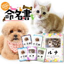 【事前確認可能】ペット 命名書 名入れ プレゼント ギフト グッズ 犬 猫 誕生日 うちの子 犬好き 愛犬 グッズ メモリアル 記念 名前入り いぬ イヌ ネコ...