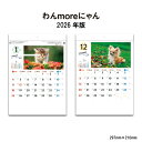 カレンダー 2026年 壁掛け わんmoreにゃん SG115 2026年版 カレンダー 壁掛け おしゃれ 動物 アニマル いやし かわいい 犬 ネコ 生き物 写真 A/8切 257953
