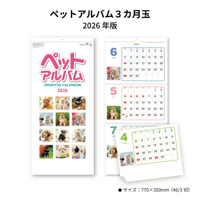 カレンダー 2026年 壁掛け ペットアルバム3ヶ月玉 SG321 カレンダー 2026年版 壁掛け おしゃれ シンプル 3ヶ月 スリーマンス 子犬 dog ..