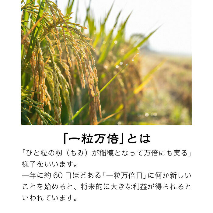 一粒万倍 幸せ米 伊勢 神宮 奉納 米 三重県産 コシヒカリ 開運ごはん 縁起物 お供え 一粒万倍日 ご進物 贈答用 プチギフト 挨拶 手土産 お祝い お礼 開運ギフト かんなめ祭 ご神饌 神嘗祭