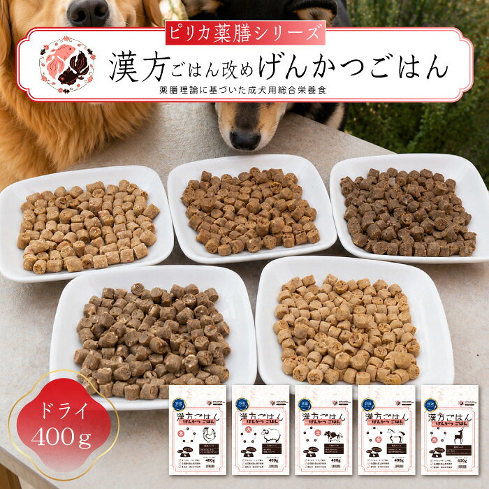ドッグフード げんかつごはん 400g 5種類 漢方ごはん 薬膳 東洋医学 五行説 薬膳ドッグフード 無添加 総合栄養食 食養生 北海道産 国産食材 鶏肉 羊肉 牛肉 馬肉 鹿肉 わんちゃん 犬 子犬 成犬 シニア犬 pirica