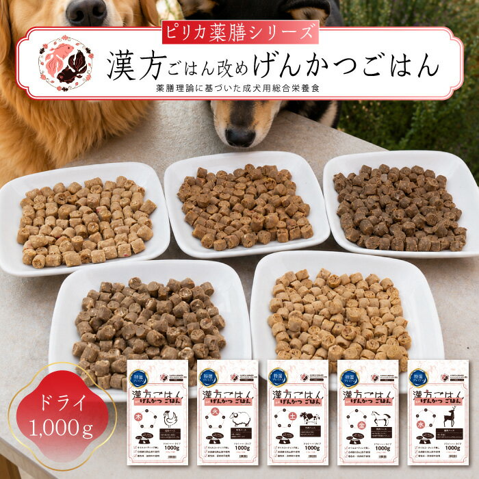 Premium - ドッグフード げんかつごはん 1000g 1kg 5種類 漢方ごはん 薬膳 東洋医学 五行説 薬膳ドッグフード 無添加 総合栄養食 食養生 北海道産 国産食材 鶏肉 羊肉 牛肉 馬肉 鹿肉 わんちゃん 犬 子犬 成犬 シニア犬 pirica