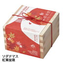 栽培キット ソダテマス 盆栽栽培セット もみじ 盆栽 栽培 観葉植物 鑑賞用植物 簡単 栽培 自由研究 もみじ 期間限定 インテリア 癒し いやし ガーデニング...