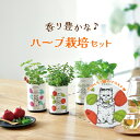 ハーブ 栽培キット Grow Flavor 育てるフレーバー 栽培 セット おしゃれ かわいい プレゼント ギフト 贈り物 誕生日 観葉植物 初心者 herb ...