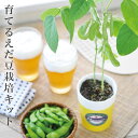 育てるえだ豆栽培キット 栽培セット えだ豆 枝豆 かわいい おつまみ ビール 盆栽 栽培 観葉植物 鑑賞用植物 簡単 栽培 自由研究 インテリア 癒し ヒーリン...