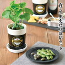 育てる黒えだ豆 栽培キット 栽培セット えだ豆 枝豆 黒えだま豆 おつまみ ビール 盆栽 栽培 観葉植物 鑑賞用植物 簡単 栽培 自由研究 インテリア 癒し ヒ...