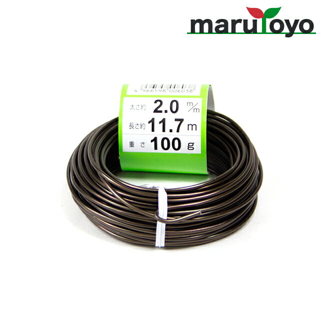 盆栽用 アルミ線 カラー 100g 2.0mm 1