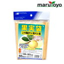 【エントリーでポイント20倍】果実袋 二十世紀梨(青梨)用 50枚入