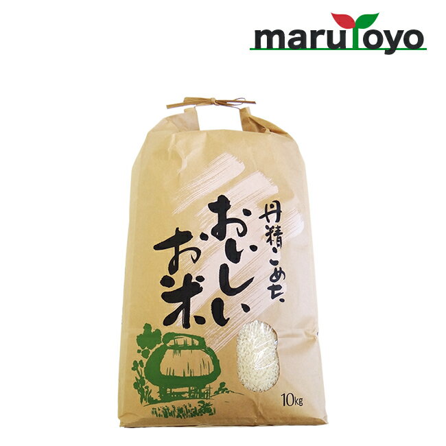 紐付クラフト 米袋 10kg 窓付 角底 「丹精こめたおいしいお米」 【贈答用】【プレゼント】【クラフト紙】【銘柄なし】