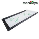 【エントリーでポイント10倍】育苗用下敷紙 カルネッコS 280mm×580mm 100枚入 【紙】【育苗】【シート】【下敷き】