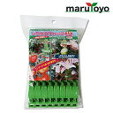 園芸用保持具 しちゅうキャッチ11 緑 24個入 S11G-24【誘引】【花】【木】【トマト】【ナス】