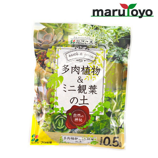 花ごころ 多肉植物＆ミニ観葉の土 0.5L [ 土 肥料 培養土 野菜 花 ガーデニング 園芸 ]