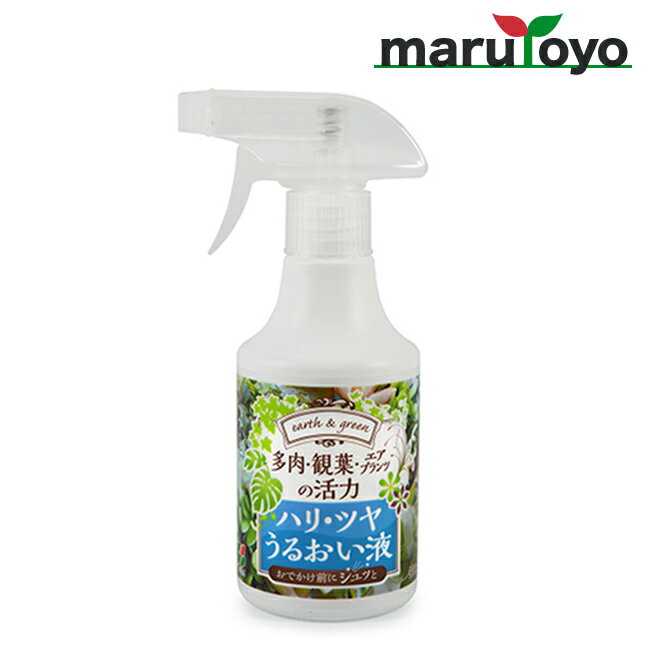 Ԃ ̃nEcE邨t 300ml [ 엿 |{y   K[fjO | ]