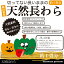 岡山県産 天然長わら 1畳分