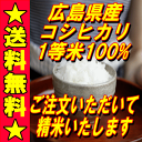 【送料無料】　令和1年度　新米　広島県産　コシヒカリ1等米10kg（玄米価格）精米したて