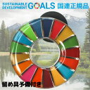 SDGs バッジ 本物 ピンバッジ 正規品 国連本部限定 丸みのあるタイプ 予備の留め具付き SDGsバッジ 17の目標 バッチ バッヂ